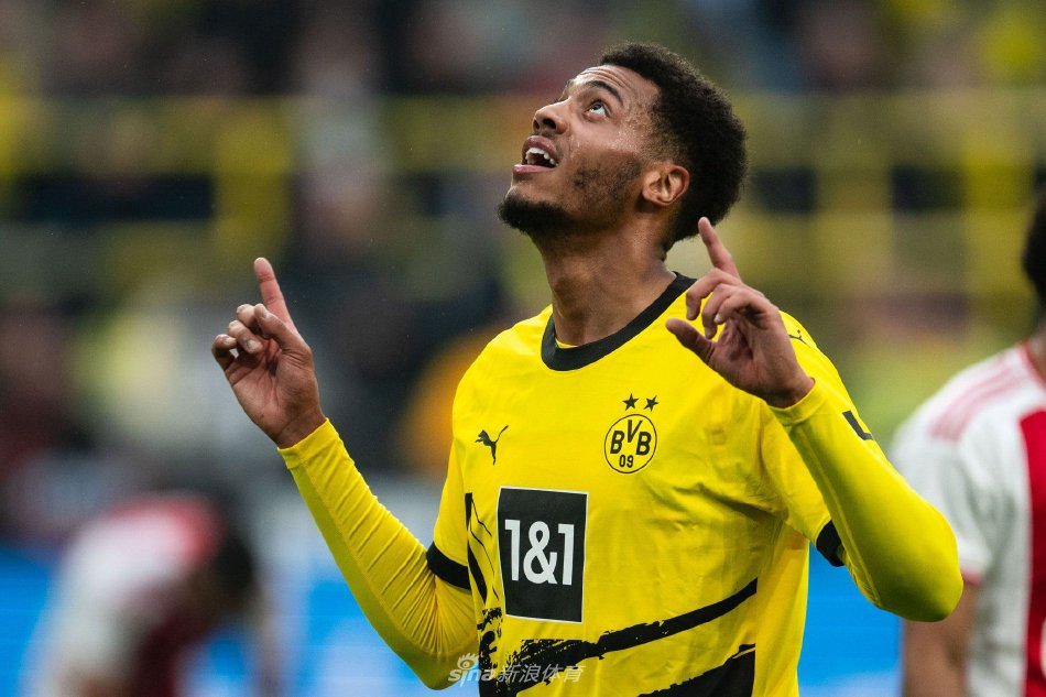 迷的喜爱 迷的喜爱